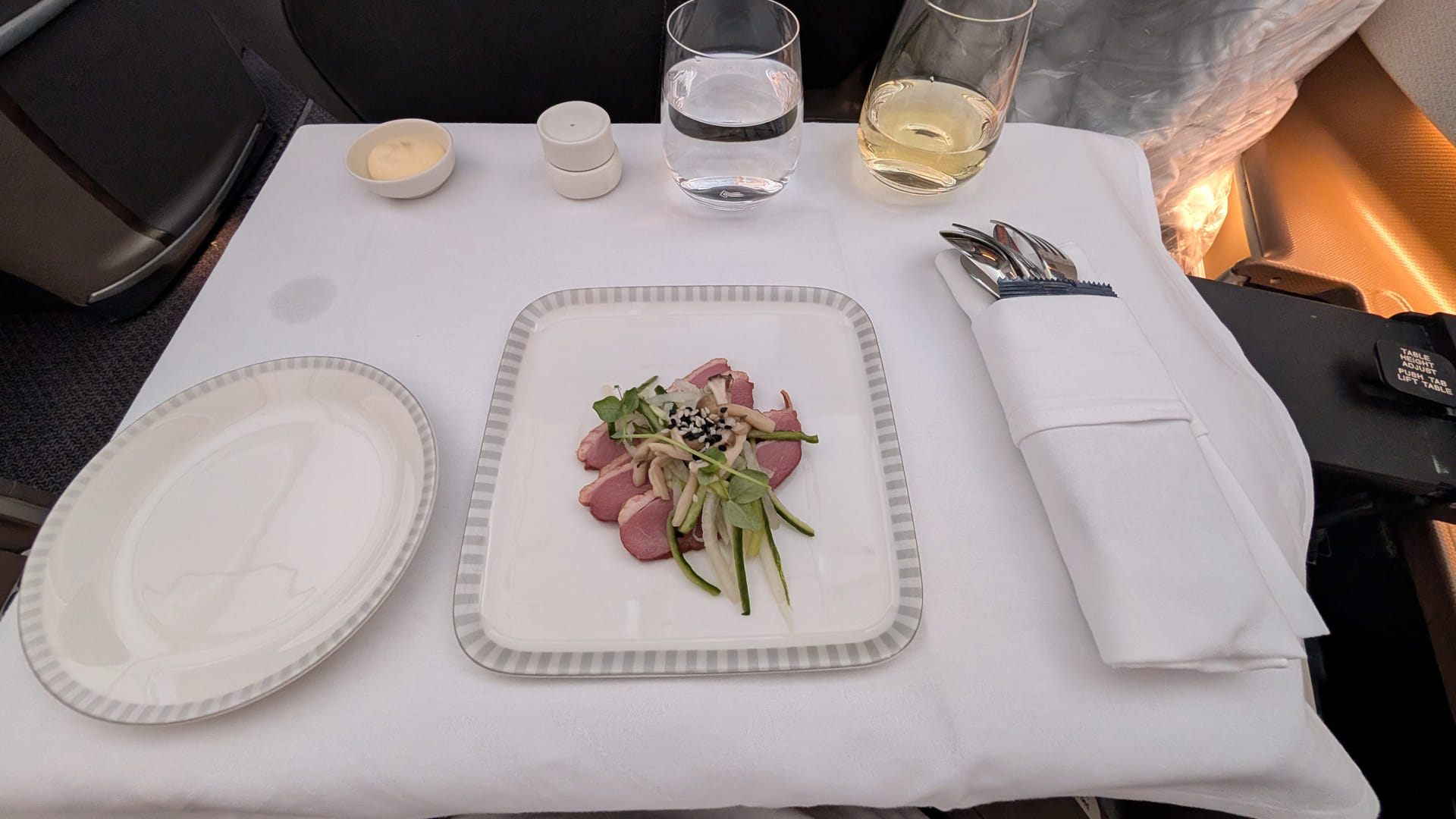 Vorspeise mit Entenbrust, Pilzen und Fenchel in der Business Class